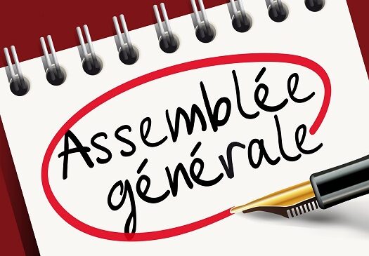 Assemble gnrale - organisation
